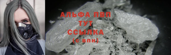 стаф Гусев