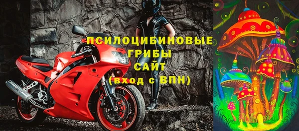 индика Волоколамск